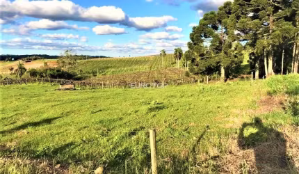 O mais belo terreno do loteamento!