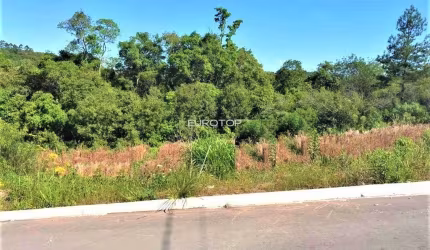 Lindo terreno no bairro Santo Antão!