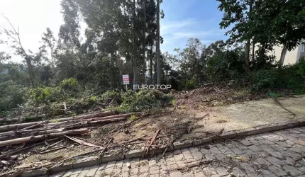 Amplo terreno no bairro Santo Antão!