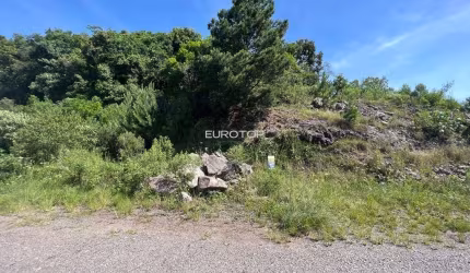 Amplo terreno com dimensões de 15m x 32m!