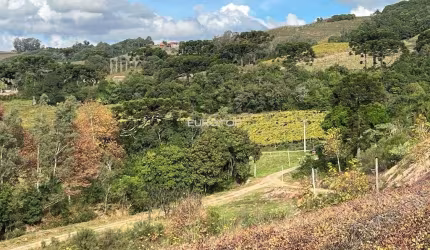 Excelente área de terras com denominação de origem!
