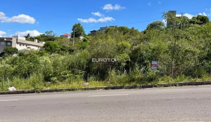 Lindo terreno com excelente topografia e localização!
