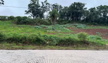 Terreno industrial no bairro Salgado