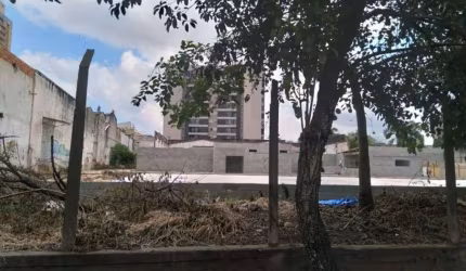 Terreno para aluguel, Silveira - Santo André/SP
