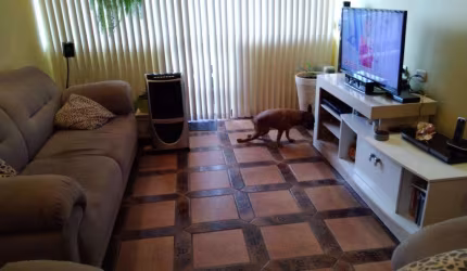 Apartamento à venda, 3 quartos, 1 suíte, 1 vaga, Santa Maria - São Caetano do Sul/SP