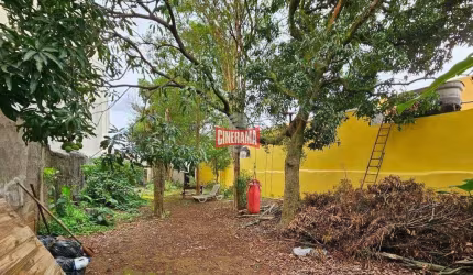 Terreno à venda, Nova Gerty - São Caetano do Sul/SP