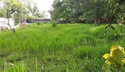 LOTE com 1.483,16m², praticamente plano, 100% aproveitável!