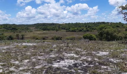 Terreno Comercial para venda - 20.000m2 - Linha Verde - em Porto de Sauipe - Entre Rios - BA