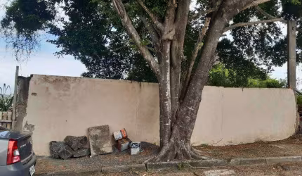 Lote/Terreno para venda possui 705 metros quadrados em Jardim Placaford - Salvador - BA