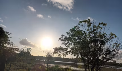 Fazenda  de vegetação nativa - Floresta