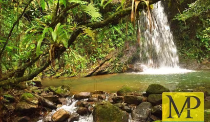 Área à venda, 210000 m² por R$ 3.950.000,00 - Oliveira - Tijucas/SC
