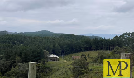 Área à venda, 2850000 m² por R$ 13.750.000,00 - São Domingos - Vidal Ramos/SC