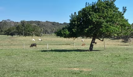 FAZENDA EM BONITO DE 83HA COM 2KM DE RIO MIMOSO NA PROPRIEDADE