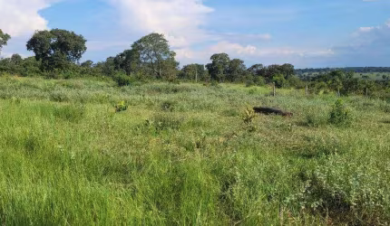 ÁREA COM 80HA EM RIBAS DO RIO PARDO