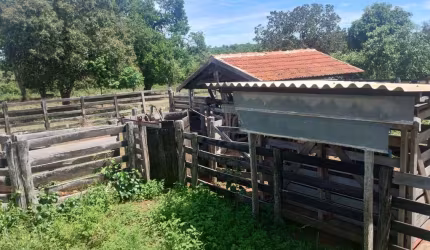 50 hectares a venda em ANASTÁCIO saída pra Campo Grande/MS