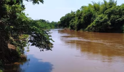 Fazenda a beira do Rio Miranda 700 hectares
