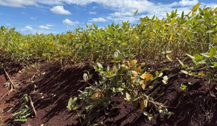 Fazenda à venda na zona rural, 222, Zona Rural, Sidrolândia por R$ 2.950.000