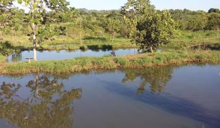 CHÁCARA EM TERENOS - MS