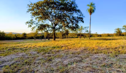 Área de 3 hectares – Próximo à saída para Rochedo, perto do DETRAN-MS