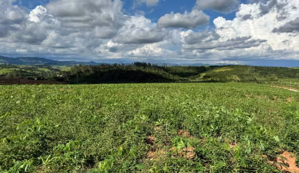 Lindo sítio com 10.5 alqueires a venda em Jacutinga-MG