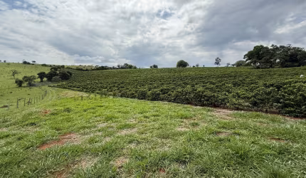 Lindo sítio a venda em Ouro fino Minas Gerais