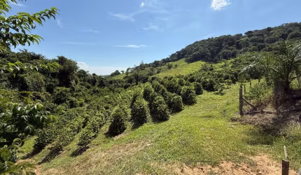 Lindo sítio a venda em Jacutinga -Minas Gerais