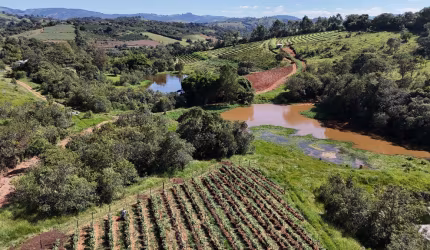 Sítio produtivo a venda em Jacutinga-MG