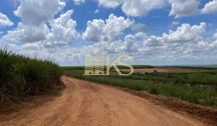 Fazenda à venda na Rua Dona Margarida, Centro, Santa Bárbara D'Oeste