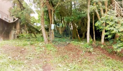Terreno em condomínio fechado à venda na Rua das Dracenas, s/n, Granja Viana, Carapicuíba por R$ 420.000