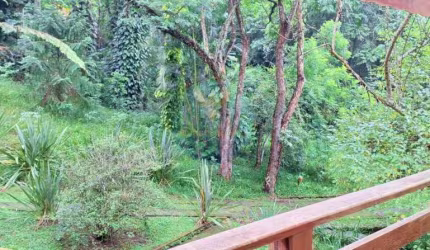 Casa em Terreno 6.500m2 | para Morar ou Investir