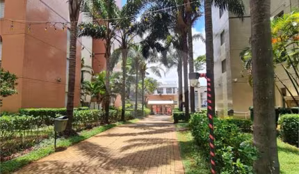 Apartamento com 3 quartos à venda em Cambuci - SP