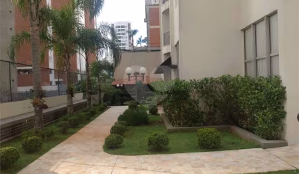 Apartamento com 3 quartos à venda em Vila Mascote - SP