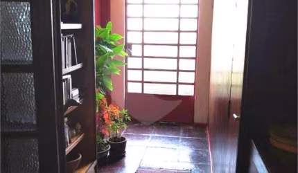 Casa com 3 quartos à venda em Sumaré - SP