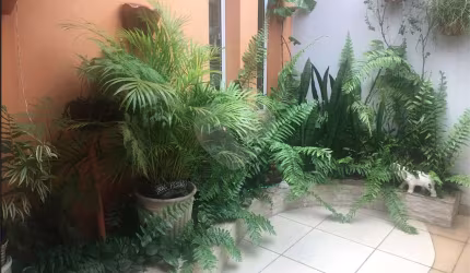 Casa com 4 quartos à venda em Itaberaba - SP