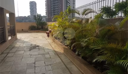Apartamento com 3 quartos à venda em Vila Ipojuca - SP