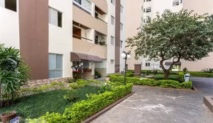 Apartamento com 3 quartos à venda em Vila Nova Cachoeirinha - SP