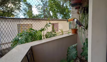Apartamento com 3 quartos à venda em Lauzane Paulista - SP