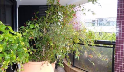 Cobertura com 4 quartos à venda em Jardim Vitória Régia - SP