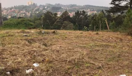 TERRENO Santo André São Leopoldo
