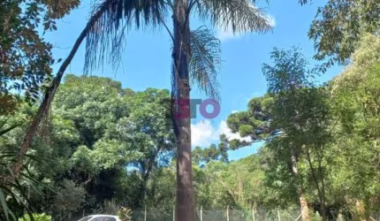 Chácara / sítio à venda na José Biscaia de Andrade, 1, Boa Vista, Mandirituba por R$ 150.000