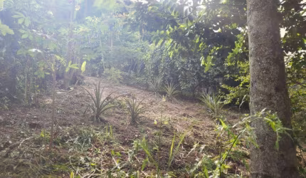 TERRENO PARA VENDA CONDOMÍNIO NOVA PAULISTA - JANDIRA