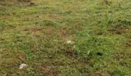 TERRENO A VENDA EM CAJAMAR - AO LADO DA RODOVIA ANHANGUERA.