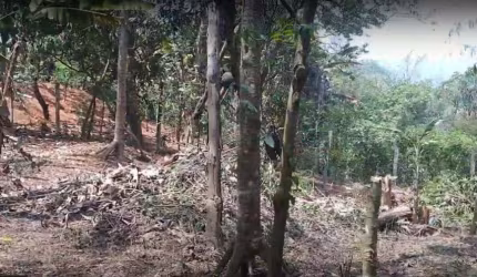 TERRENO PARA VENDA NO 970m² CRISTAL PARK III - SANTANA DE PARNAÍBA