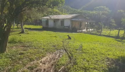 FAZENDA A VENDA 83 ALQUEIRES - 202 HA - IPORANGA - SÃO PAULO