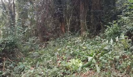 CHÁCARA A VENDA RECANTO DAS MARAVILHAS - ARAÇARIGUAMA