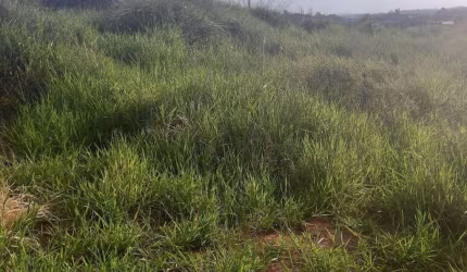 TERRENO A VENDA JACARANDÁ - CARAPICUÍBA