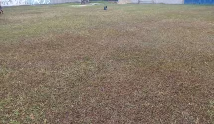 Terreno Comercial Em Barueri, Bethaville Com 250M2.