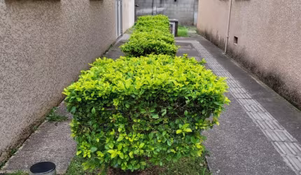 APARTAMENTO EM JUNDIAPEBA MOGI DAS CRUZES