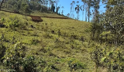 Terreno com otima localizaçao