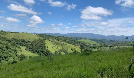 Vendo lote com ótima topografia